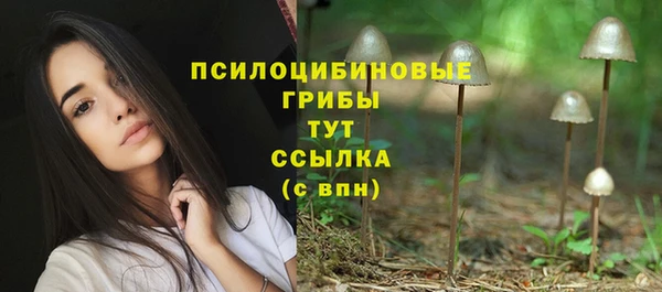 стаф Киреевск