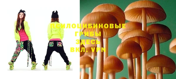 стаф Киреевск