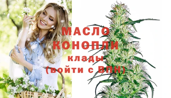 мдпв Кодинск